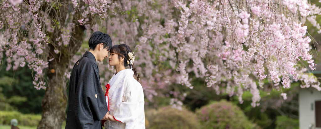 野津原さくら園の枝垂れ桜に包まれて白無垢姿で撮影する新郎新婦の和装前撮り｜大分 Photostudio PASSION