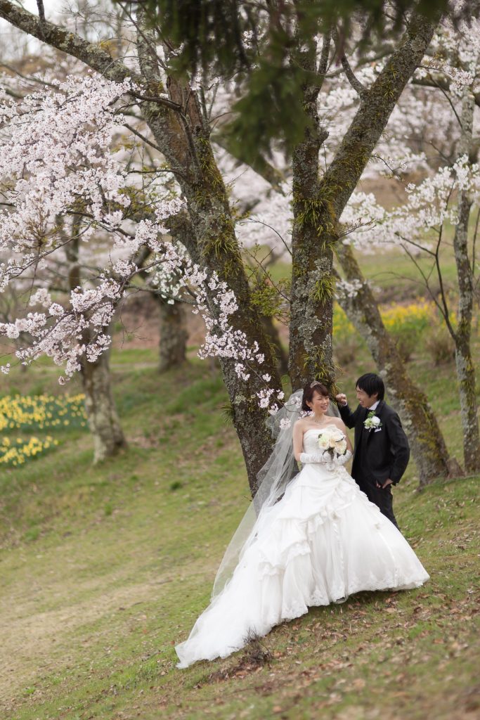 白ドレス、桜、の前撮りフォト