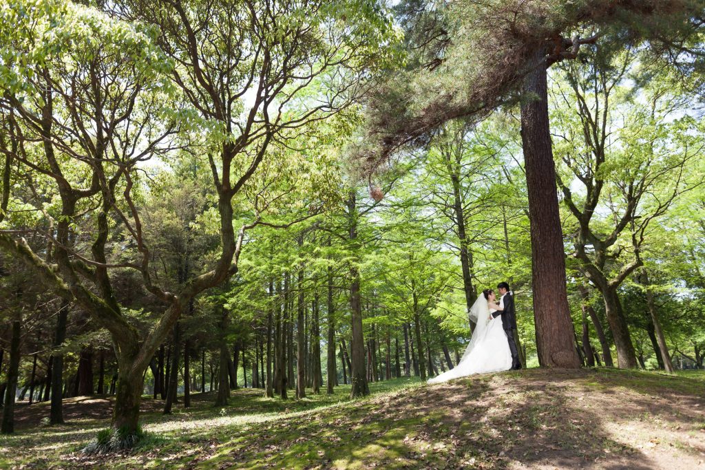 白ドレス、新緑、森、の前撮りフォト