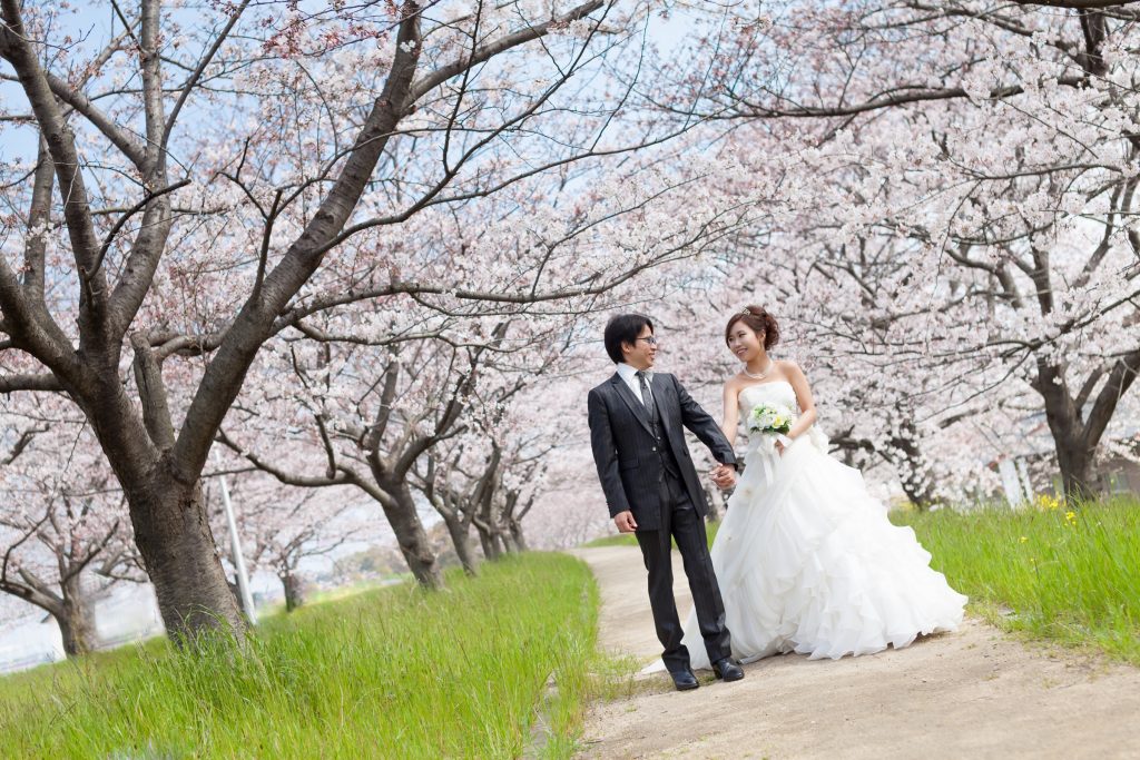 白ドレス、桜、の前撮りフォト
