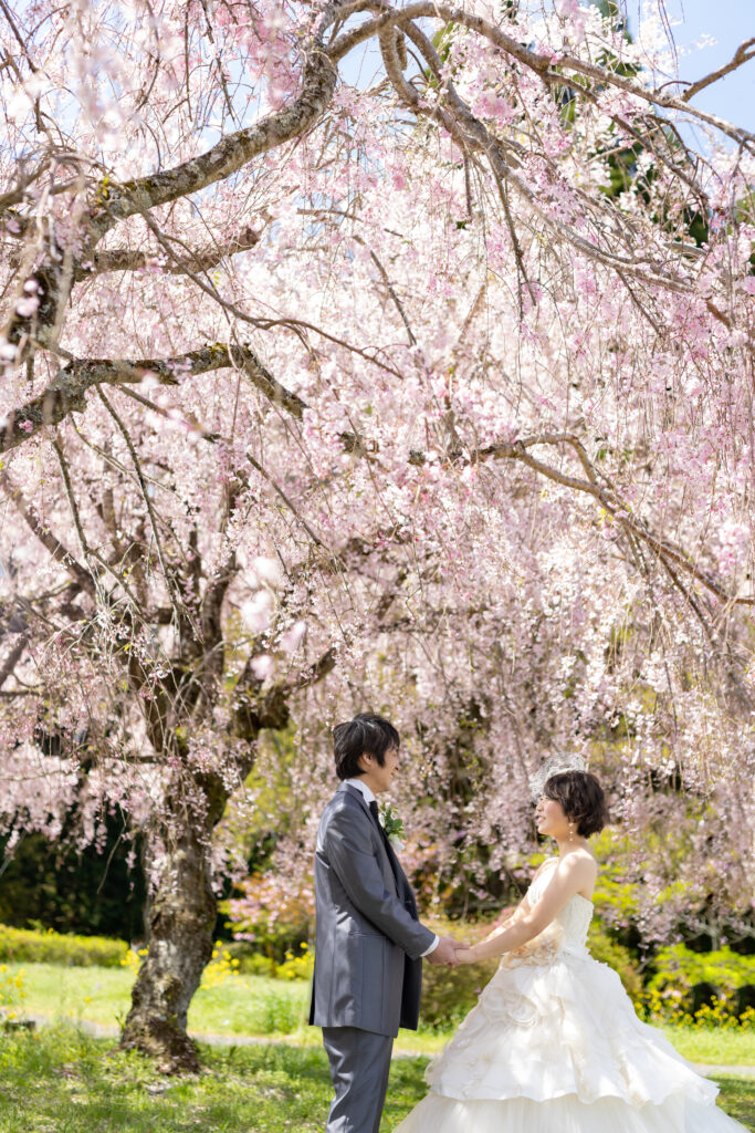野津原さくら園のしだれ桜ドレス前撮り両手繋ぎポーズ｜大分前撮り.com