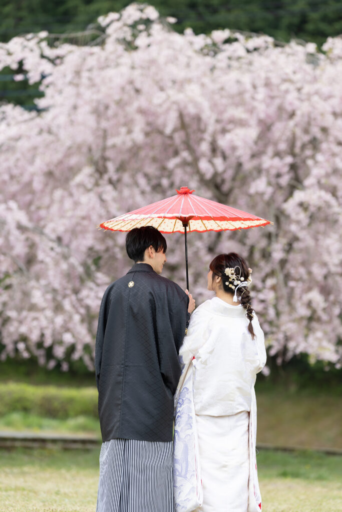 野津原さくら園の桜和装前撮り和傘後ろ姿ポーズ｜大分前撮り.com