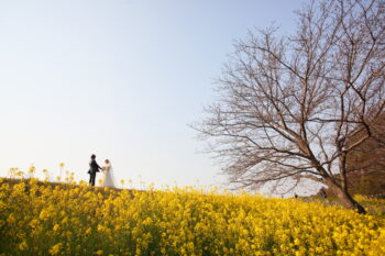 大分市でフォトウェディング！写真が苦手でも大丈夫？自然な笑顔を残す撮影のコツ：サムネイル