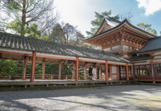 大分で和装前撮りなら柞原八幡宮｜緑と光に包まれる場所